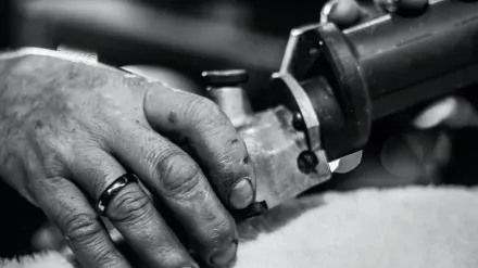 A groomer's hand holding a dog's paw while trimming a black nail