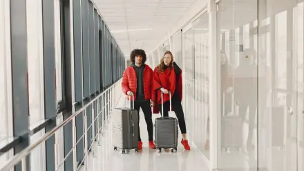 A small terrier in a soft carrier and a large retriever on a leash near travel bags
