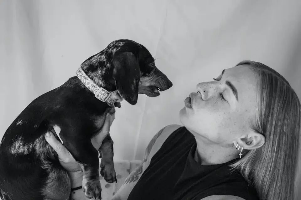 A veterinarian crouching to observe a dog&#x27;s posture and body language