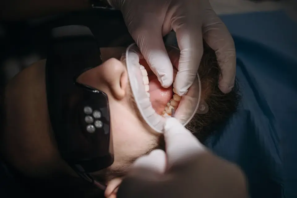 A veterinarian gently checking a dog&#x27;s gum color during an exam