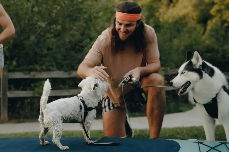 An owner offering a treat to a nervous dog on a leash near a street