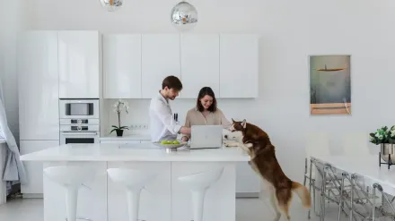 Dog at home near a kitchen