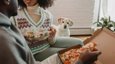 Dog eating from a bowl