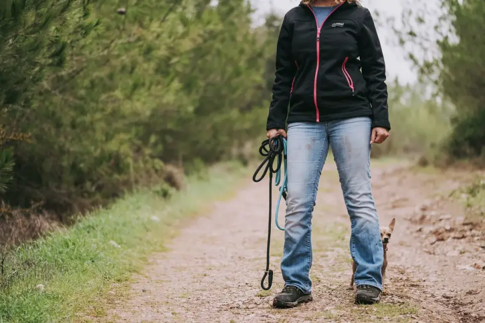 Owner and dog walking on an unlit trail with the dog's collar glowing faintly