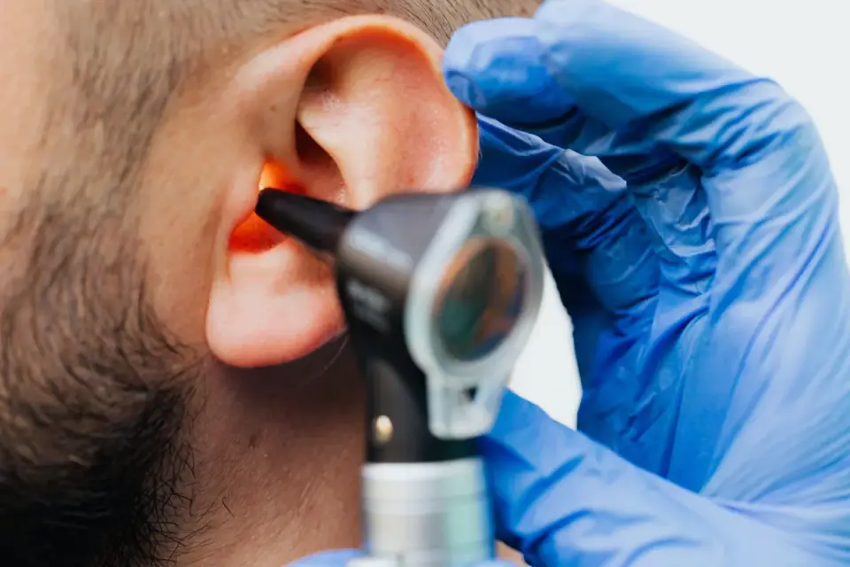 Veterinarian examining a senior dog&#x27;s ear during a wellness exam